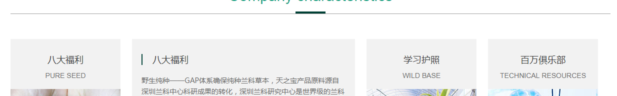 （前海）宏泰頁(yè)面設(shè)計(jì)效果圖