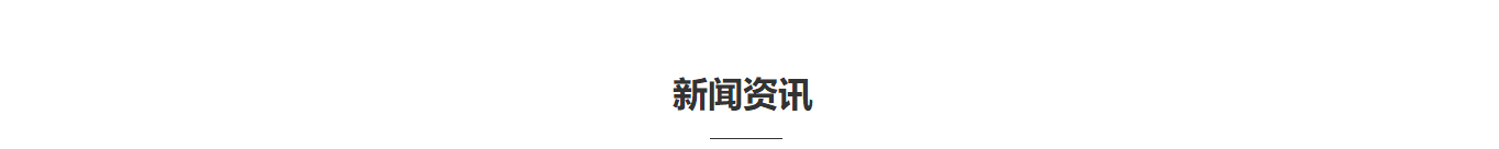 洛壹網絡網站建設案例