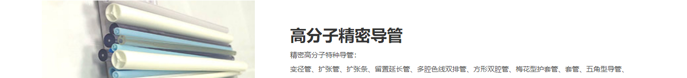 洛壹網絡網站建設案例