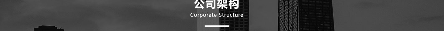 洛壹網(wǎng)絡(luò)網(wǎng)站案例